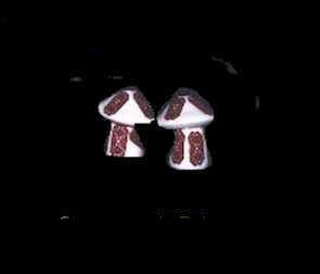 Mushrooms