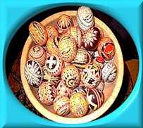 Chicken Eggs
